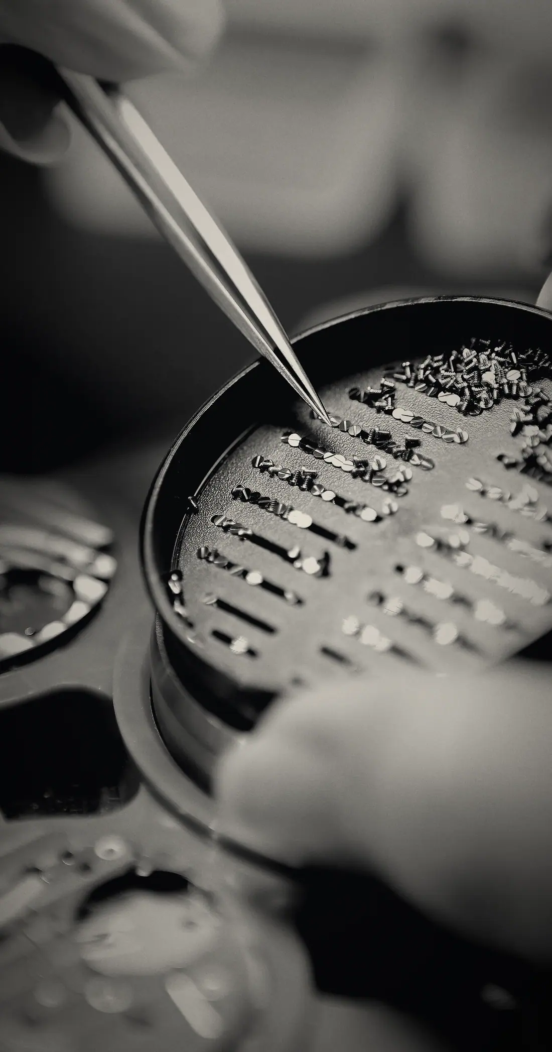 Tweezers lifting a part from a tray of movement components.